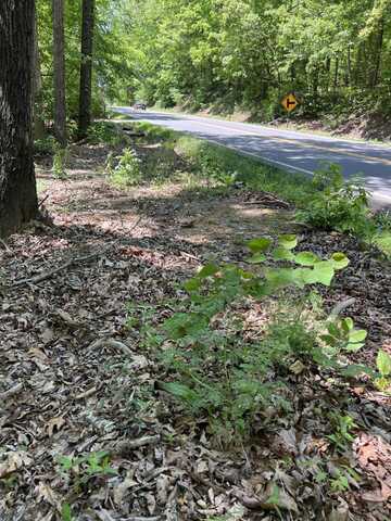 0 Hwy 163, Calhoun, TN 37309