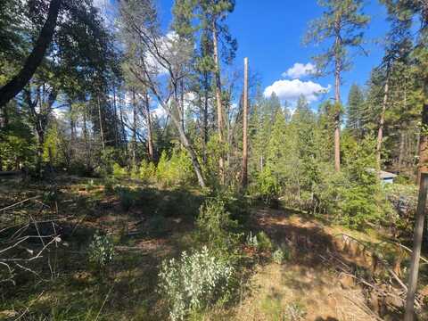 208 Horse Shoe Drive, Hathaway Pines, CA 95223