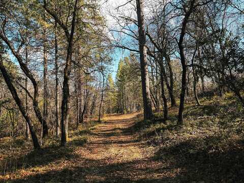 830-1016 Spink Road, West Point, CA 95255