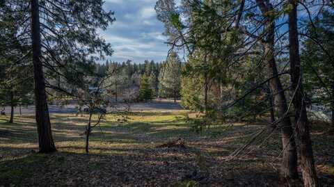 297 Forest Meadows Drive, Murphys, CA 95247