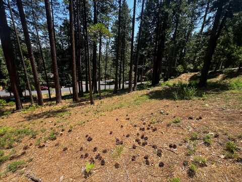 2904 Venado Drive, Arnold, CA 95223