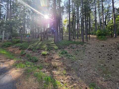 2904 Venado Drive, Arnold, CA 95223