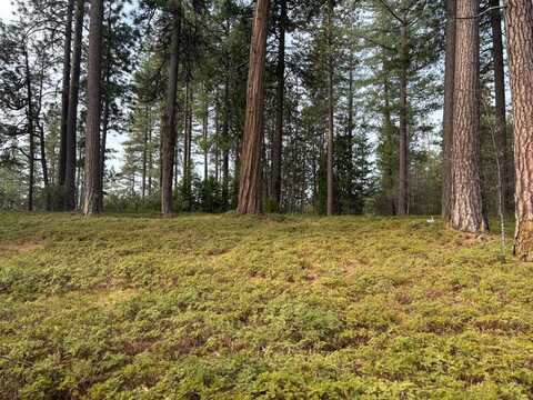 164 Vireo Way, Avery, CA 95224