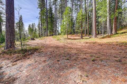 3488-3184 Moran Road, Avery, CA 95224