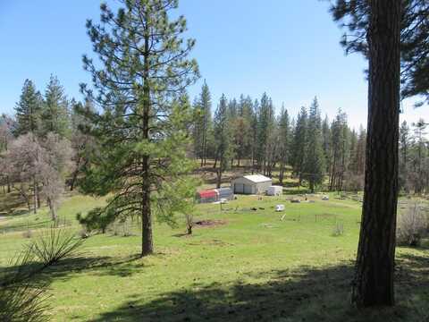 4196 Bald Mountain Road, West Point, CA 95255