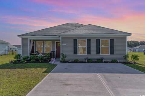 231 Jeff Waters Circle, Longs, SC 29568