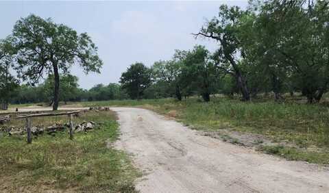 111 Deer Run, George West, TX 78022