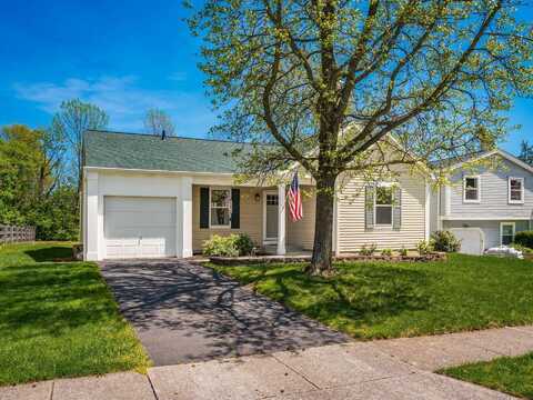 8280 Waco Lane, Powell, OH 43065