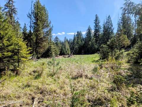 Nka Sheep Creek Rd, Santa, ID 83866