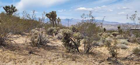 000 Olympic Road, Joshua Tree, CA 92252
