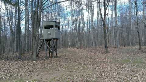 NHN 40 Acres Heath, Lupton, MI 48635
