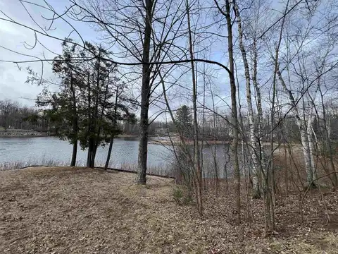 Lots 21 & 23 BIRCHWOOD DR, Alger, MI 48610