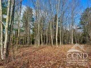 611 Old Road, Windham, NY 12496