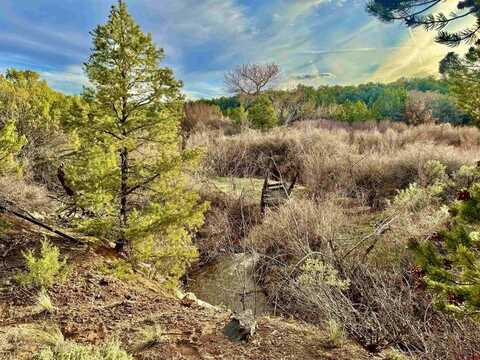 4665 S 9 8/10 Rd, Glade Park, CO 81523