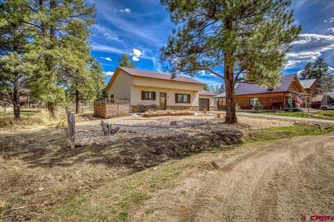 63 E Radiant Court, Pagosa Springs, CO 81147