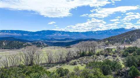 TBD Highway 62, Ridgway, CO 81432