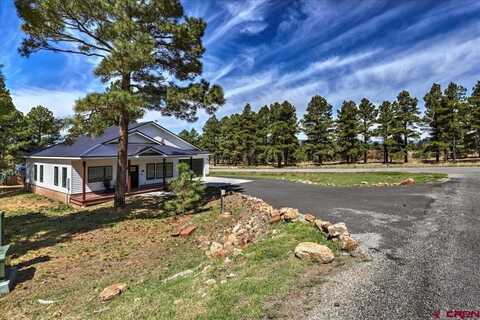 474 Lakewood Street, Pagosa Springs, CO 81147