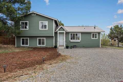 826 E Tamarack Drive, Bayfield, CO 81122