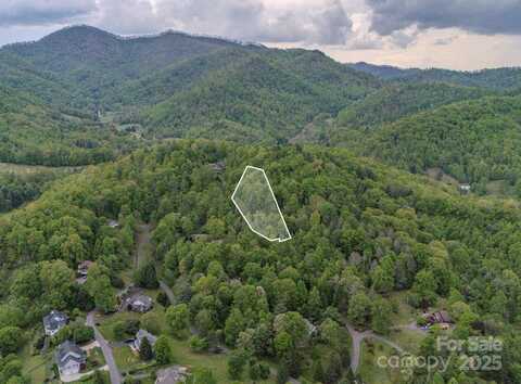 Buena Vista Drive unit: 25, Barnardsville, NC 28709