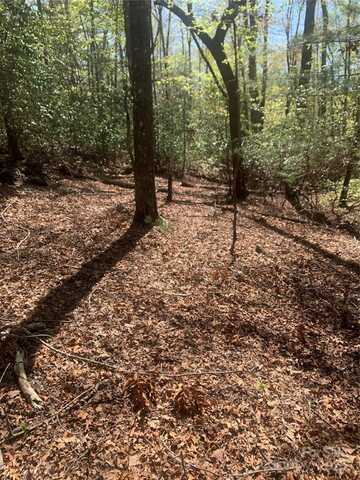 Tbd Juniper Lane, Brevard, NC 28712