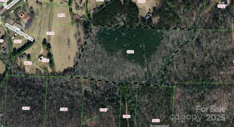 0000 Burma None, Marion, NC 28752