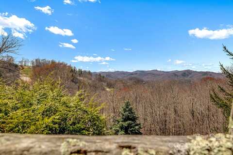 1873 El Miner Drive, Mars Hill, NC 28754