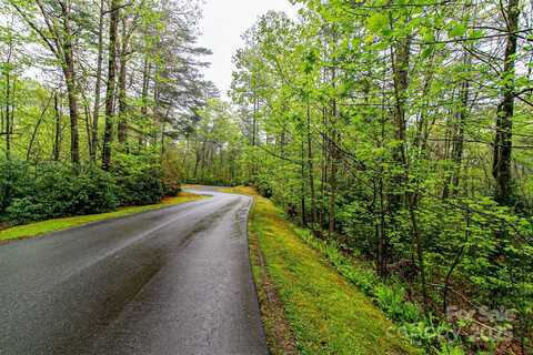 Tbd High Hemlock Trail, Brevard, NC 28712