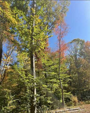 Brook Road, Hampton, CT 06247