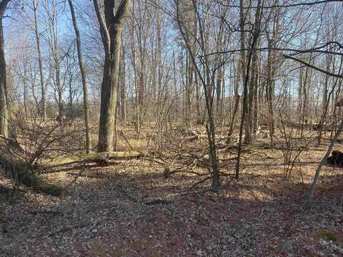 0 GEORGIA STREET NORTH, Stevens Point, WI 54481