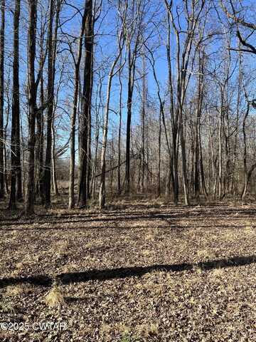 0 Sloan Rd Lots 3,4, & 5, Springville, TN 38256