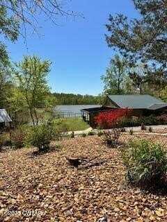 973 Old Lavinia Road, Cedar Grove, TN 38321