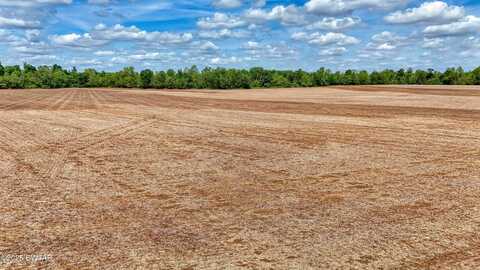 0 Highway 138, Mercer, TN 38392