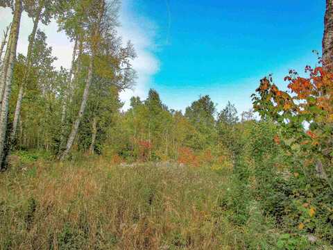 9223 Hwy 61 W, Schroeder, MN 55613