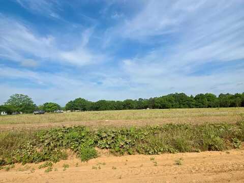 0 H Merritt Road, Slocomb, AL 36375