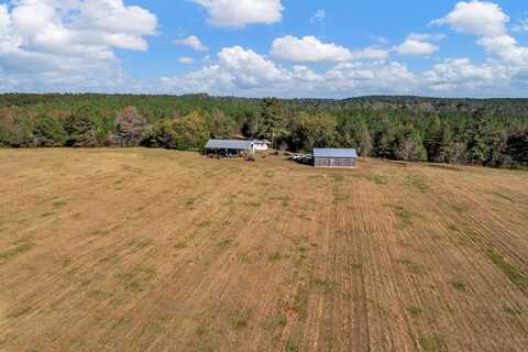 0 County Road 127, Banks, AL 36005