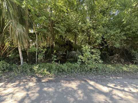 2015 Griffin Street, Ormond Beach, FL 32174
