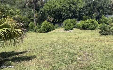 116 Rains Drive, Ponce Inlet, FL 32127