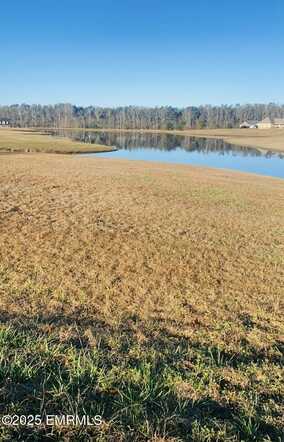 Lakeview Drive, Union, MS 39365