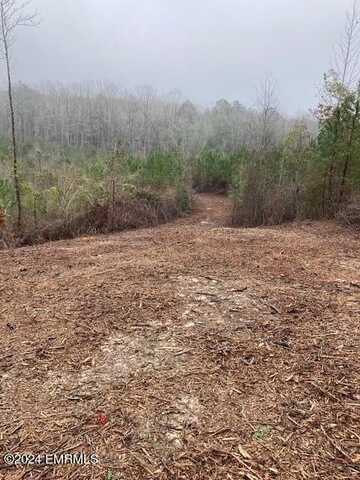 Bunk Newell Road, Meridian, MS 39301