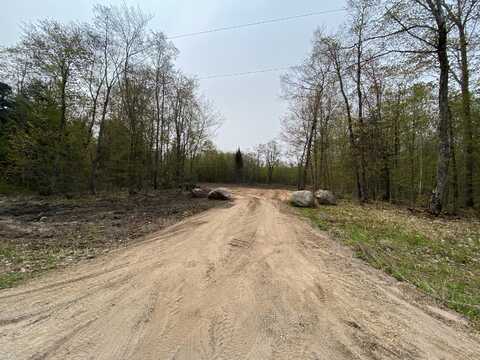 10 Acres Brasser, Sugar Island, MI 49783