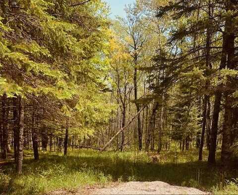 N Indian TRL, Engadine, MI 49827