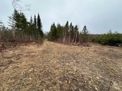 30ac M/L W Pendills Lake RD, Brimley, MI 49715