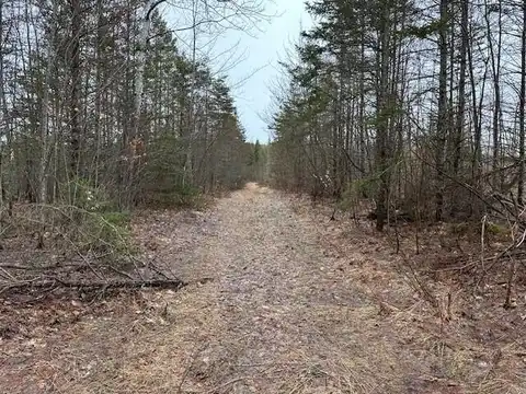40 Ac M/L W Pendills Lake RD, Brimley, MI 49715