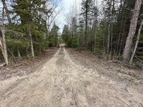 E5716 Simmons RD, Hessel, MI 49745