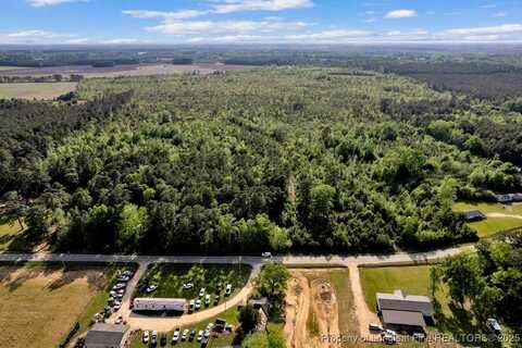 391 & 494 Carroll Store Road, Autryville, NC 28318