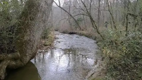 Bayberry Cove Rd, Sylva, NC 28779