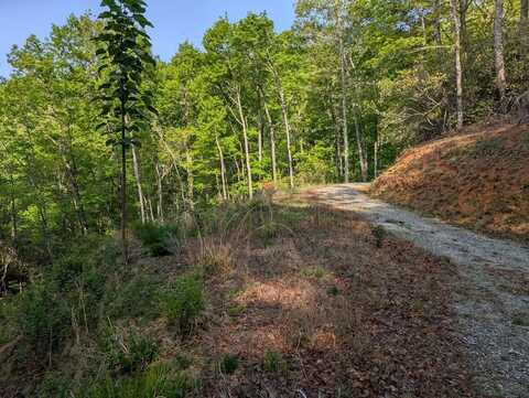 Cherokee Mine Rd, Franklin, NC 28734