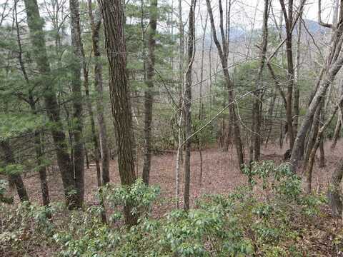 Sr1121 Breedlove Rd., Glenville, NC 28736