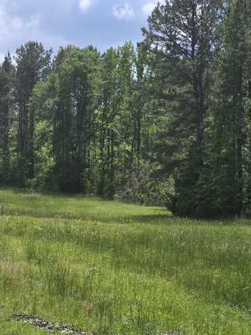 0 HWY 220 EAST, Lincolnton, GA 30817