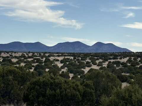 Lot 24 Pinon Springs Road, Magdalena, NM 87825